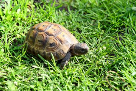 Bild: #23736695 © Andrey Bandurenko - stock.adobe.com< Bild: #23736695 © Andrey Bandurenko - stock.adobe.com<
