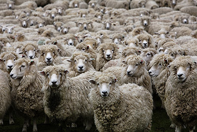 Bild: #13008847 – von Paul Stock – stock.adobe.com Bild: #13008847 – von Paul Stock – stock.adobe.com